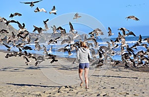 Make the birds fly is a delight for the young.