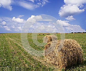 Make hay while the sun shines