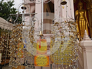 Make merit at Phra Pathommachedi a stupa in Thailand