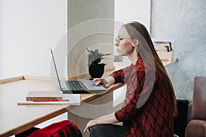 Make money online, blogging, ebusiness. Young woman, freelancer, student girl using laptop photo