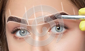 The make-up artist applies a henna paints eyebrow dye on the eyebrows of a young girl. Professional makeup and cosmetology skin photo