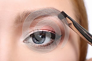 Make-up artist apply eyebrow shadow with brush, beauty photo