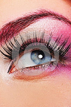 Make-up of a beautiful woman eye