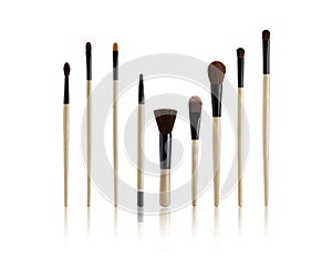 Make-up Brushes