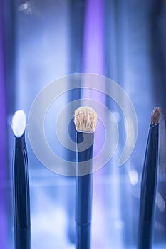 Make-up brushes in makeup brush store