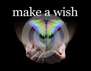 Make a Wish on this Beautiful Rainbow Butterfly