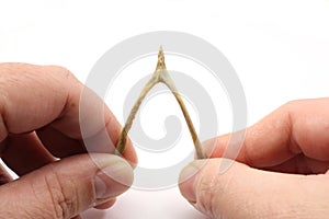 Make A Wish on the Wishbone