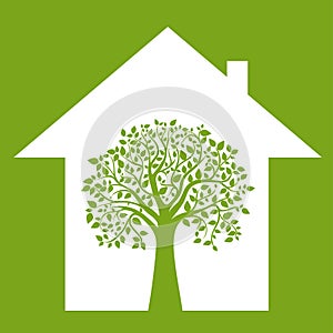 Make your home environmentally friendly