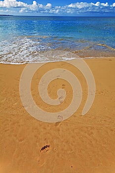 Makena beach, maui photo