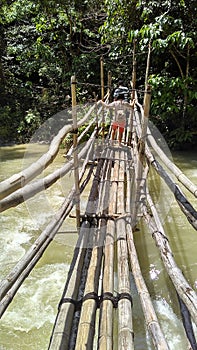 a makeshift bamboo bridge over a flowing river
