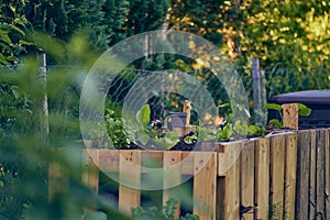 makeshift raised Bed in garden