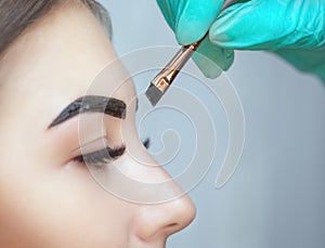 Makeup artist applies paint henna on eyebrows in a beauty salon.