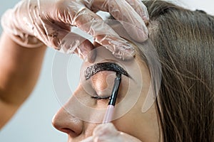 Makeup artist applies paint henna on eyebrows in a beauty salon