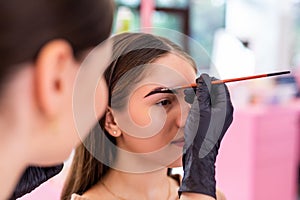 makeup artist applies paint henna on eyebrows in a beauty salon. Professional care for face