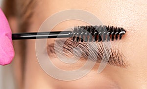 Makeup artist combs eyebrows with a brush after dyeing in a beauty salon.Professional makeup and cosmetology skin care photo