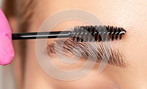Makeup artist combs eyebrows with a brush after dyeing in a beauty salon.Professional makeup and cosmetology skin care