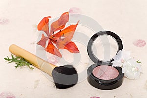 Makeup blusher rouge and brushes