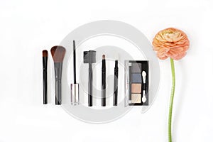 Makeup brush collection eye shadow and ranunculus flower isolated on white background