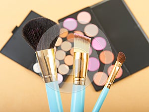 Makeup brush and cosmetic