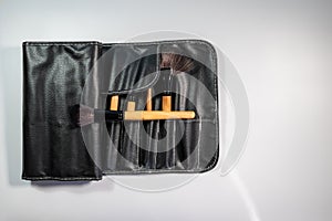 Makeup brush kit. Makeup brush case