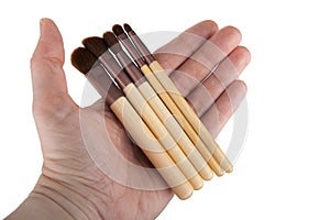 Makeup brush kit