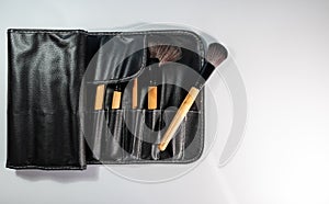 Makeup brush kit. Makeup brush case.