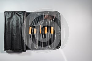 Makeup brush kit. Makeup brush case