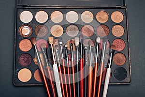 Makeup brush set and professional eye shadow palette