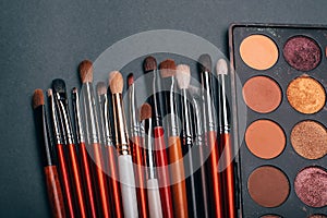 Makeup brush set and professional eye shadow palette