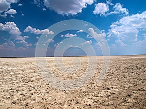 Makgadikgadi salt pans photo