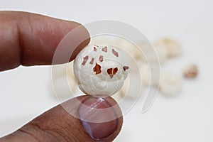 Makhana chiwda or Foxnuts with selective focus