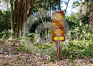 Makiki arboretum trail hike