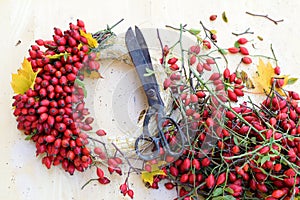 Making autumn decoration on wooden background