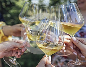 Making a celebratory toast with sparkling wine. Female hands holding glasses of champagne