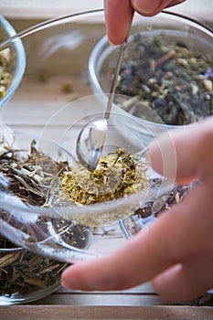 Making of Chamomile-Tarragon infusion tea set