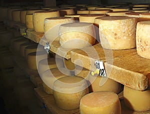 Tvorba sýr 