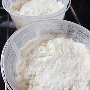 Making cheese ricotta with your own hands. Step-by-step photos of the process. Settling and self-pressing of cheese