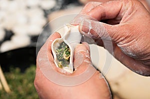 Making chinese dumpling