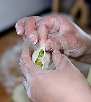 Making Chinese dumplings