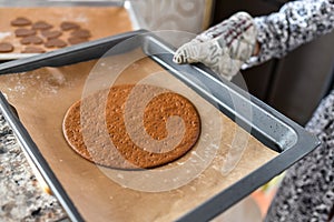 Making chocolate cake. girl bakes in the oven in the cake shell