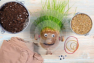 Making of cute homemade grass head toy with various supply tools.