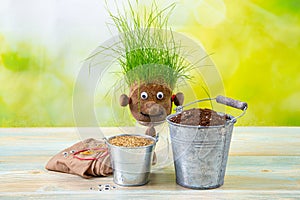 Making of cute homemade grass head toy with various supply tools. Grass seeds, tights, eyes, rubber band and soil.