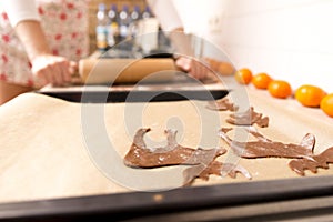 Making gingerbread cookies for Christmas in kitchen. Woman`s han