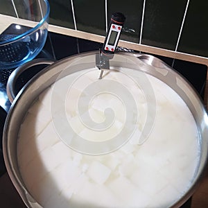 Making halumi cheese and ricotta with your own hands. Step-by-step photos of the process. The formation of cheese curd