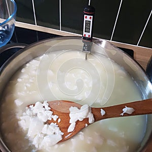 Making halumi cheese and ricotta with your own hands. Step-by-step photos of the process. Forming the cheese grain by