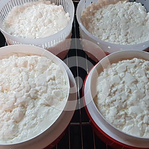 Making halumi cheese and ricotta with your own hands. Step-by-step photos of the process. Settling and self-pressing of