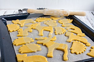 Making homemade cookies in various shapes