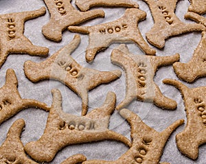 Making homemade dog treats