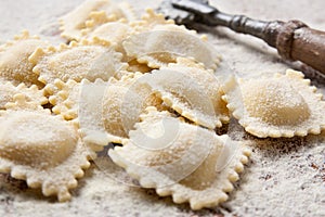 Making homemade ravioli photo