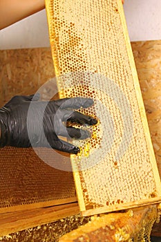 Making honey. Removing wax from frames with honeycombs